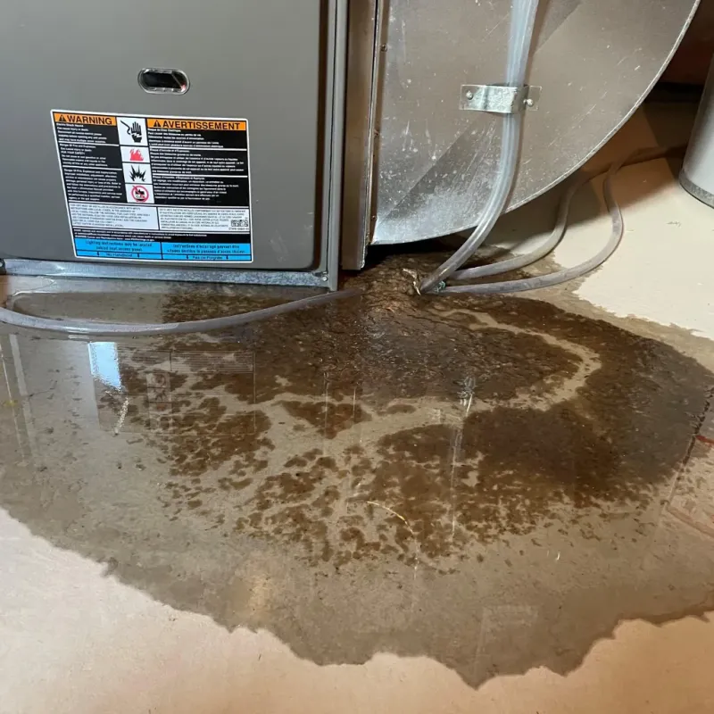 Appliance Leak Cleanup in Starke County, IN