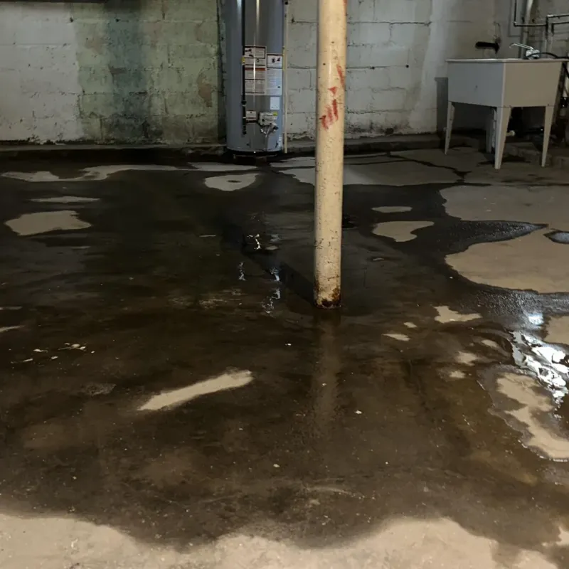 Emergency Water Extraction And Removal in Starke County, IN